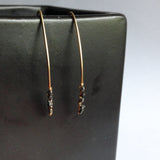 Black Diamond and 14K Gold Earrings